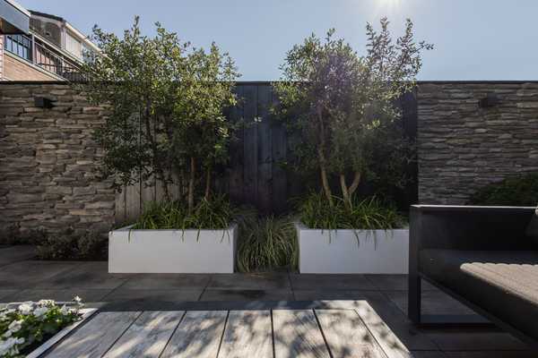Tuin met steenstrips